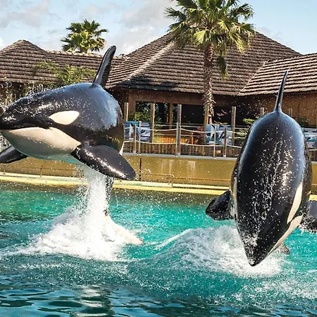 Marineland Sea View Aparthotel Antibes