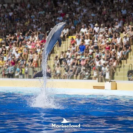 Marineland Sea View 4* Antibes