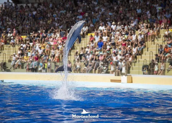 Marineland Sea View 4* أنتيب