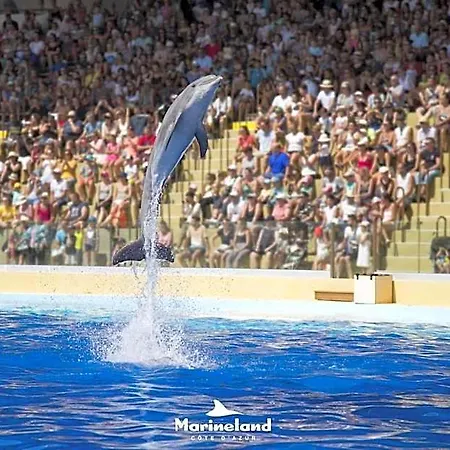 Marineland Sea View Aparthotel 4*