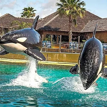 Marineland Sea View