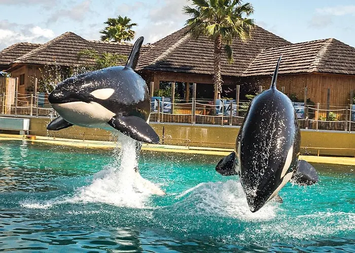 Marineland Sea View Aparthotel Antibes